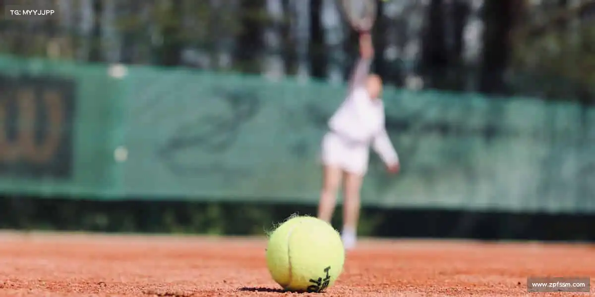 美狮贵宾会官网——🏀激情碰撞,球场称王!🏆